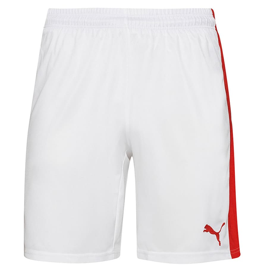 PUMA Power Cat 5.12 Kinder Shorts 701266-12J