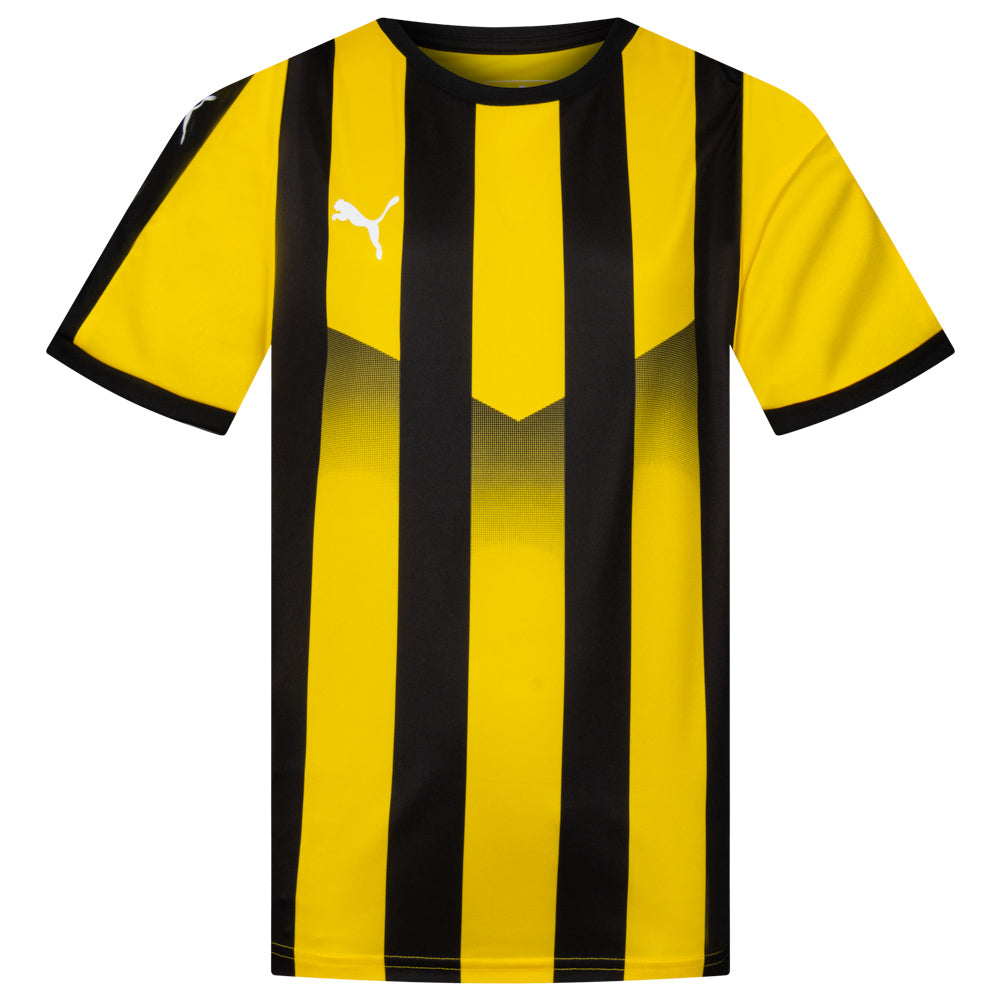 PUMA Liga Striped Kids Jersey 703425-07