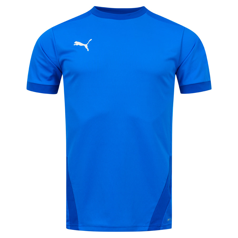 PUMA teamGOAL Herren Trikot 704171-02