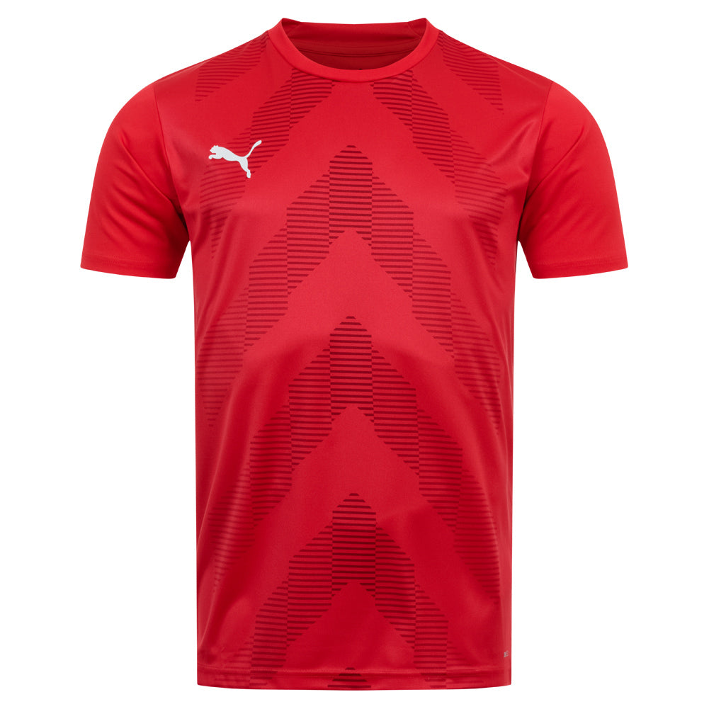 PUMA teamGLORY Jersey Herren Trikot 705017-01