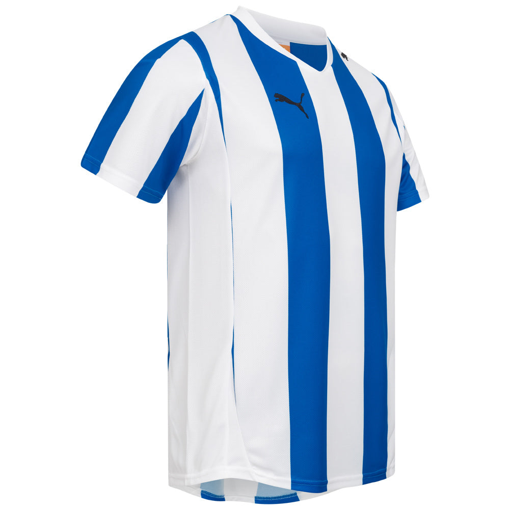 PUMA PowerCat 5.10 Striped Trikot 741322-01