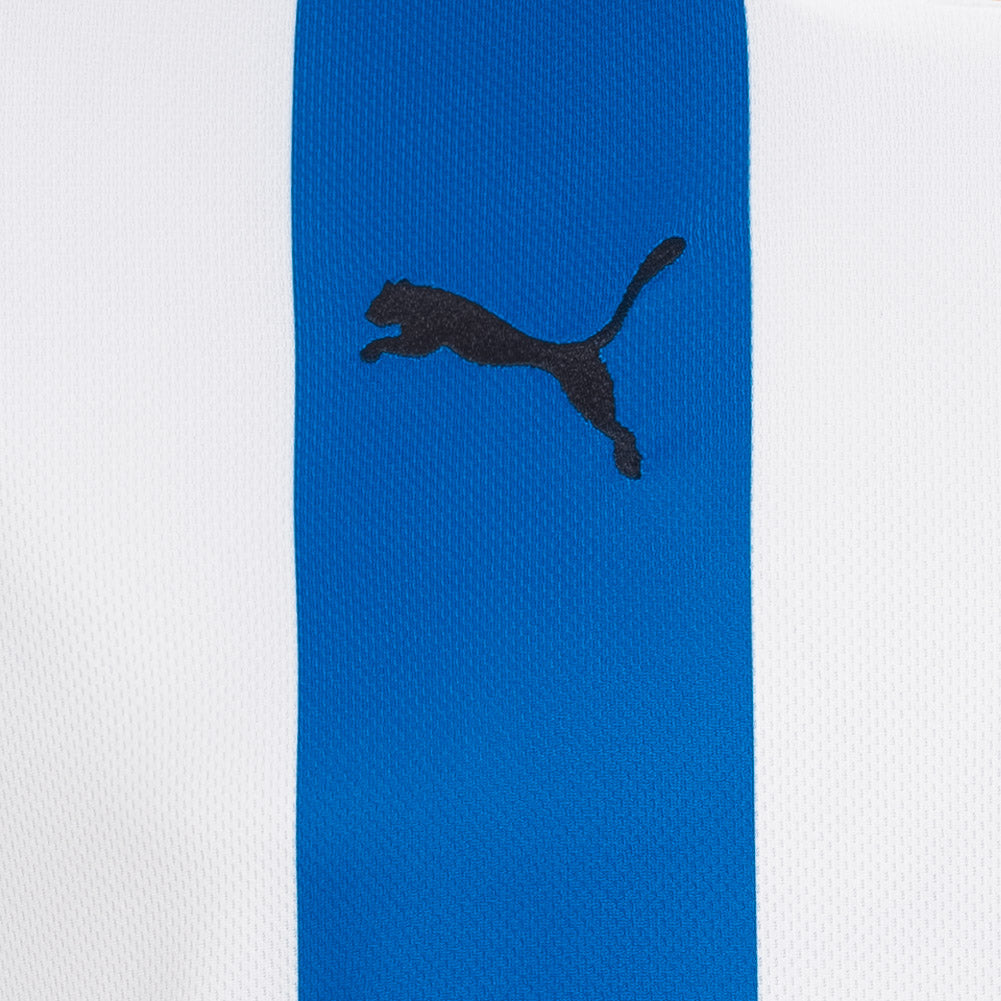 PUMA PowerCat 5.10 Striped Trikot 741322-01